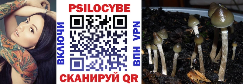 как найти закладки  сайты даркнета какой сайт  Псилоцибиновые грибы Magic Shrooms  Королёв 
